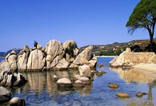 九游网页版登录入口-一场激烈的篮球盛事即将上演